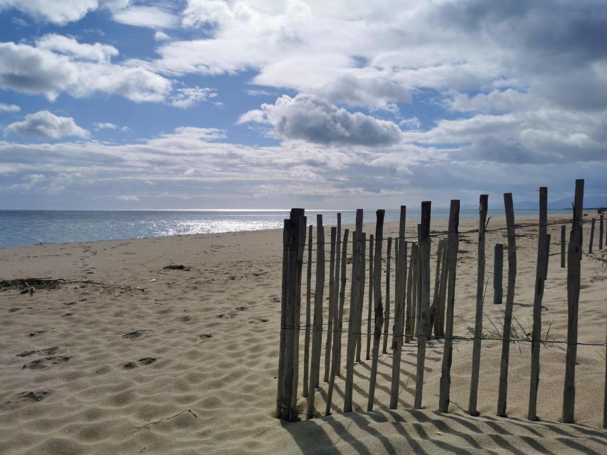 Appartement Soleil Levant - Acces Direct Plage - Terrasse - Une Chambre - Proche Commerces Le Barcarès エクステリア 写真