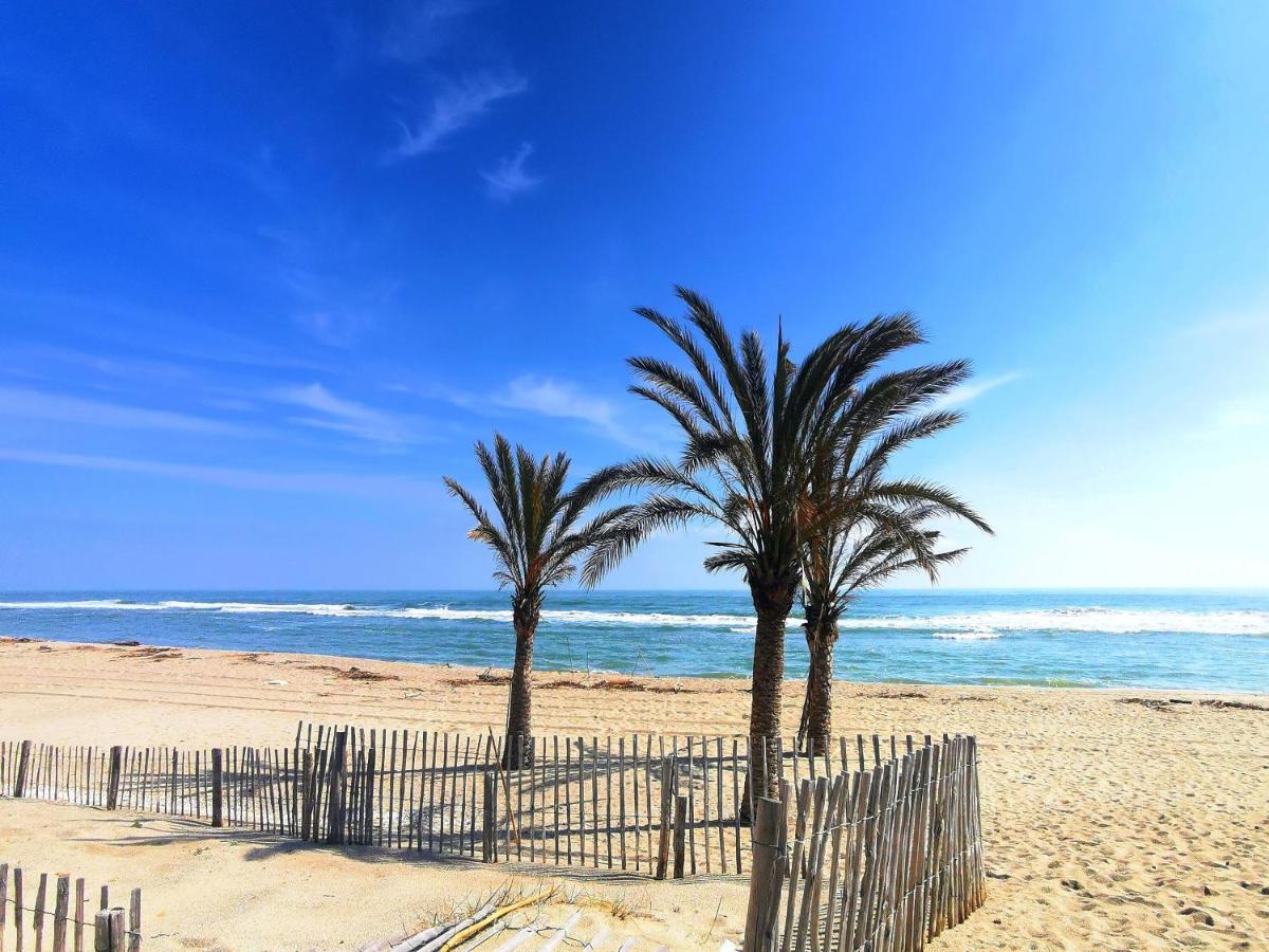 Appartement Soleil Levant - Acces Direct Plage - Terrasse - Une Chambre - Proche Commerces Le Barcarès エクステリア 写真